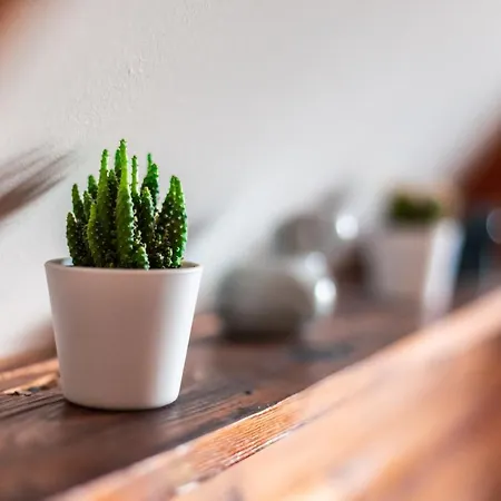 Kiskalacs Verőcemaros