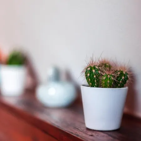 Dom wakacyjny Kiskalacs *