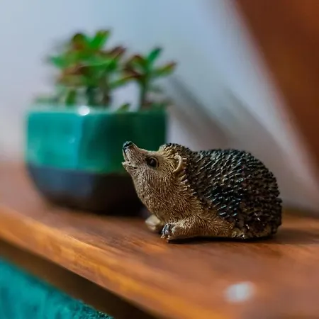 Nyaraló Kiskalács
