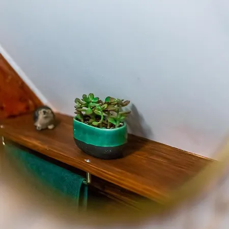 Dom wakacyjny Kiskalacs Verőcemaros