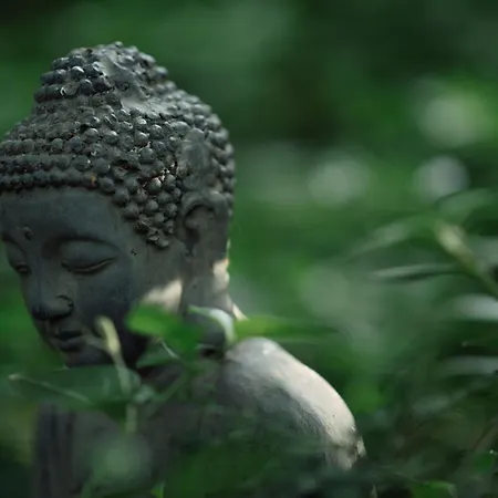 Kiskalacs Dom wakacyjny *