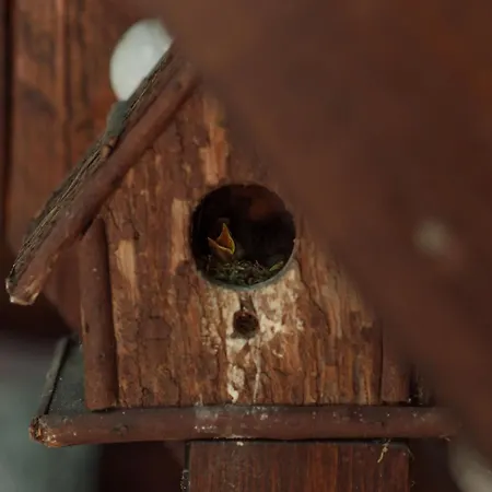 Kiskalacs Dom wakacyjny Verőcemaros