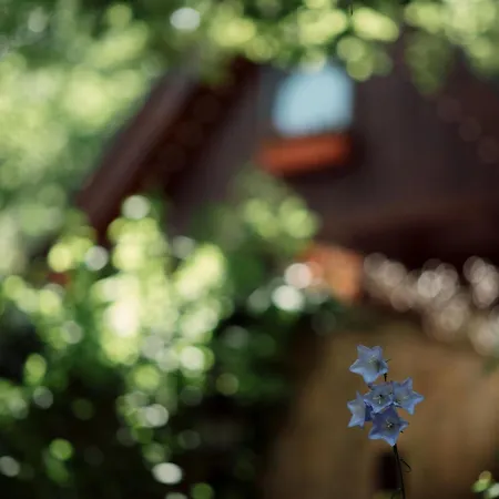 Kiskalacs Verőcemaros