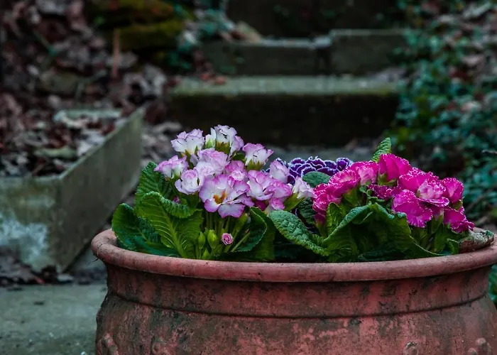 Kiskalacs * Kismaros