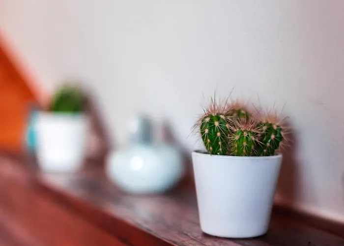 Holiday home Kiskalacs *