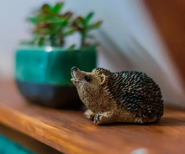 בית נופש Kiskalacs