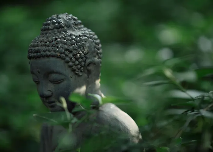 Kiskalacs Holiday home *