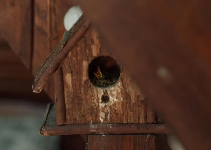 Kiskalacs Holiday home Kismaros