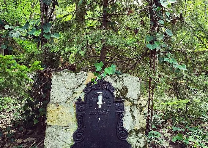 Kiskalacs Holiday home *